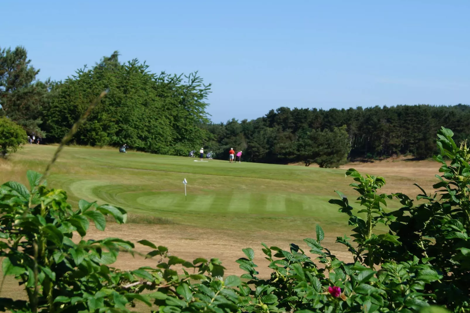 5 sterren vakantie huis in Ebeltoft