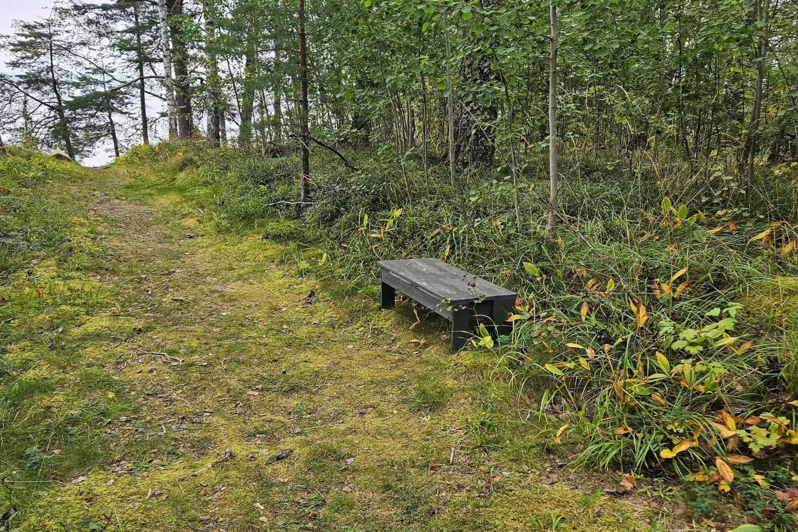 4 sterren vakantie huis in BY KYRKBY - Buitenlucht