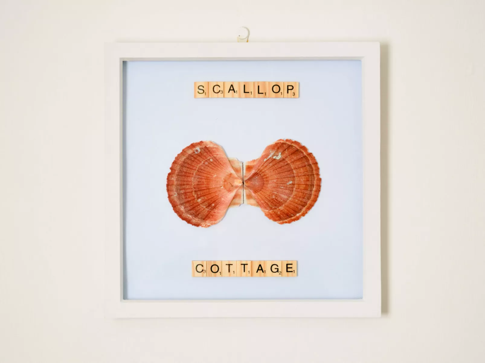 Scallop Cottage-Buiten