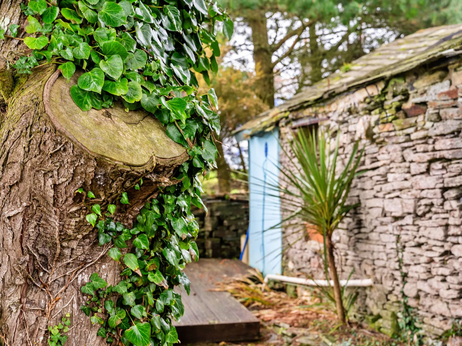 Fisherman's Cottage-Binnen