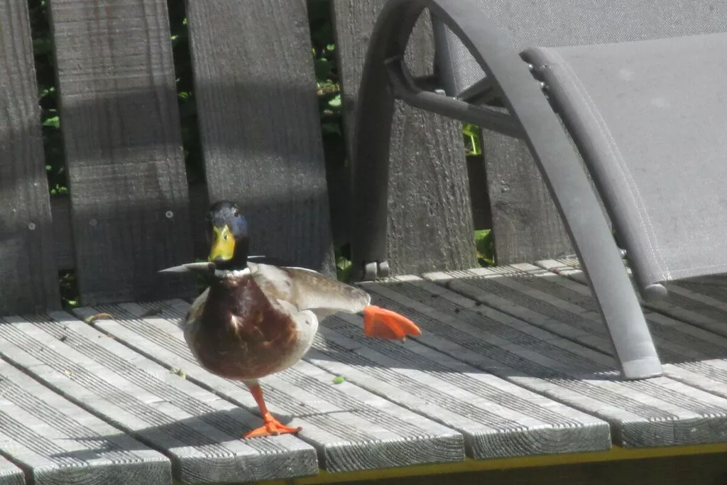 479485 - Niet-getagd