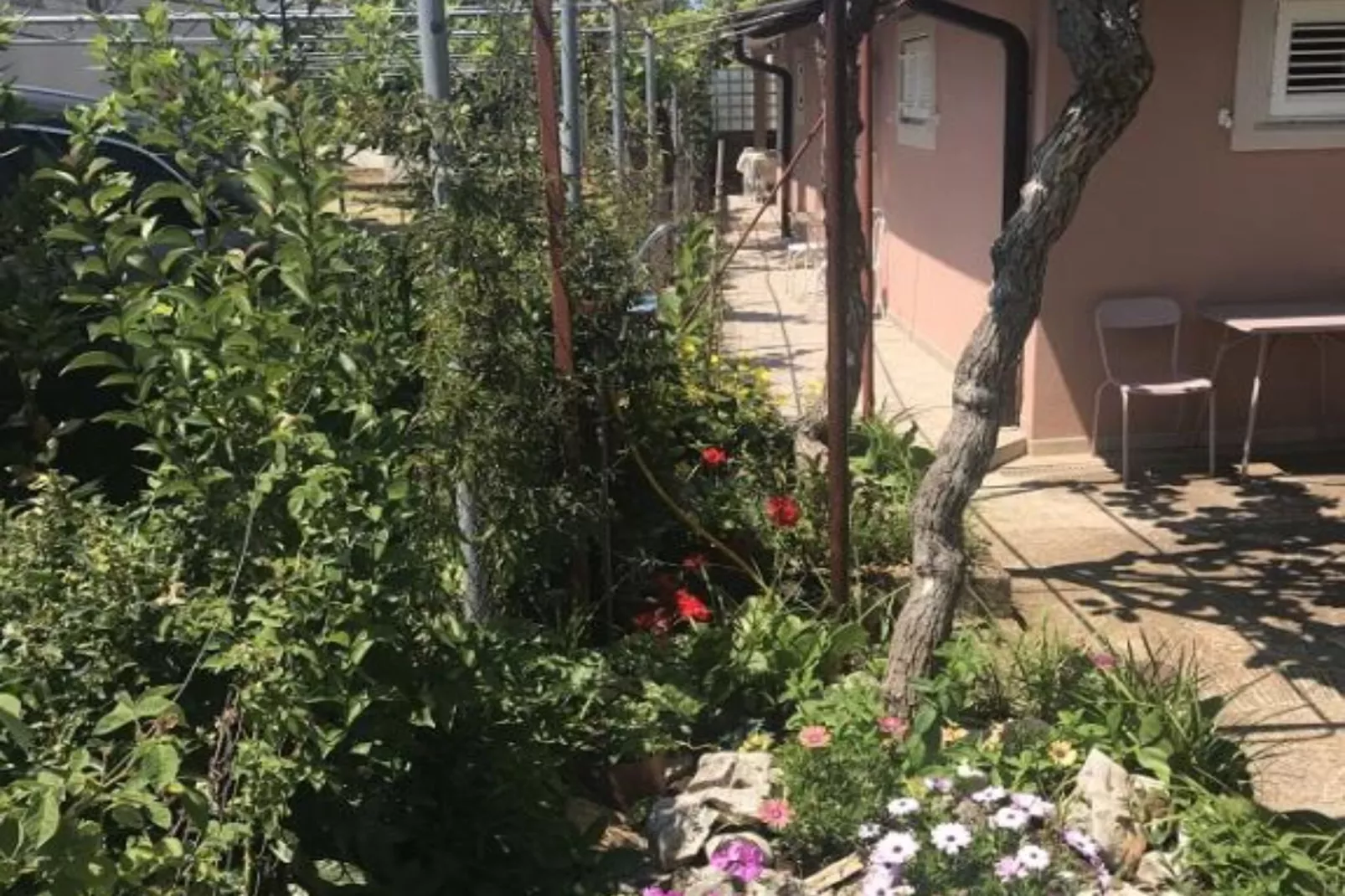 Apartmani Stefanija - Studio With Garden View-Buitenlucht