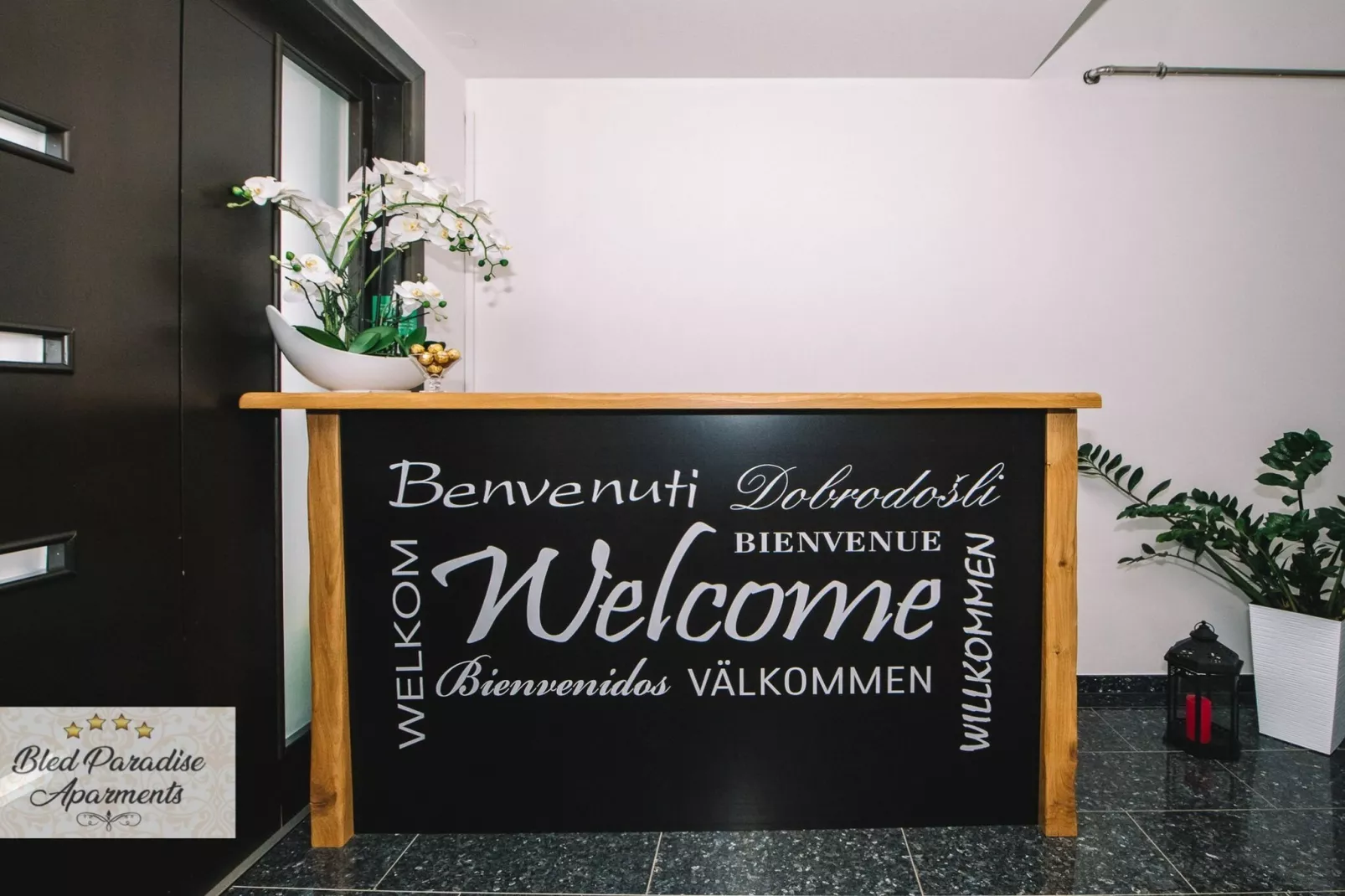 Bled Prestigious and Stylish Apartments - Classic One Bedroom Apartment with Balcony (owner 4)-Faciliteiten