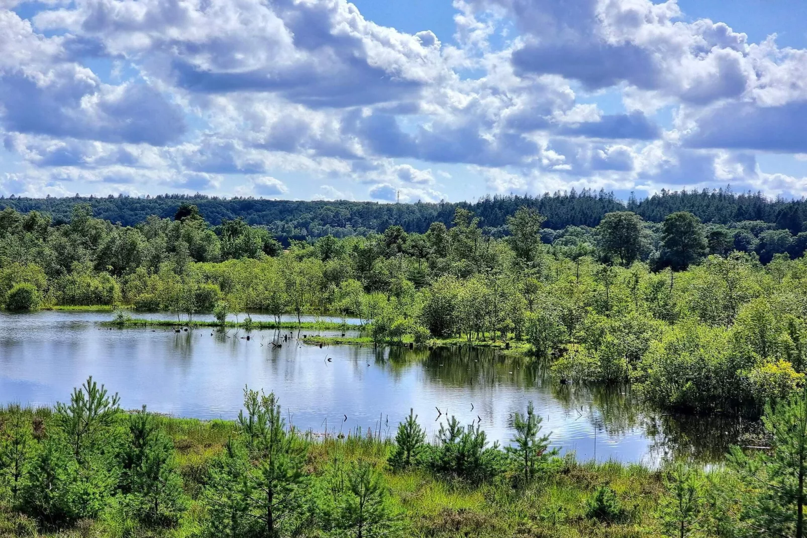 4 sterren vakantie huis in Silkeborg