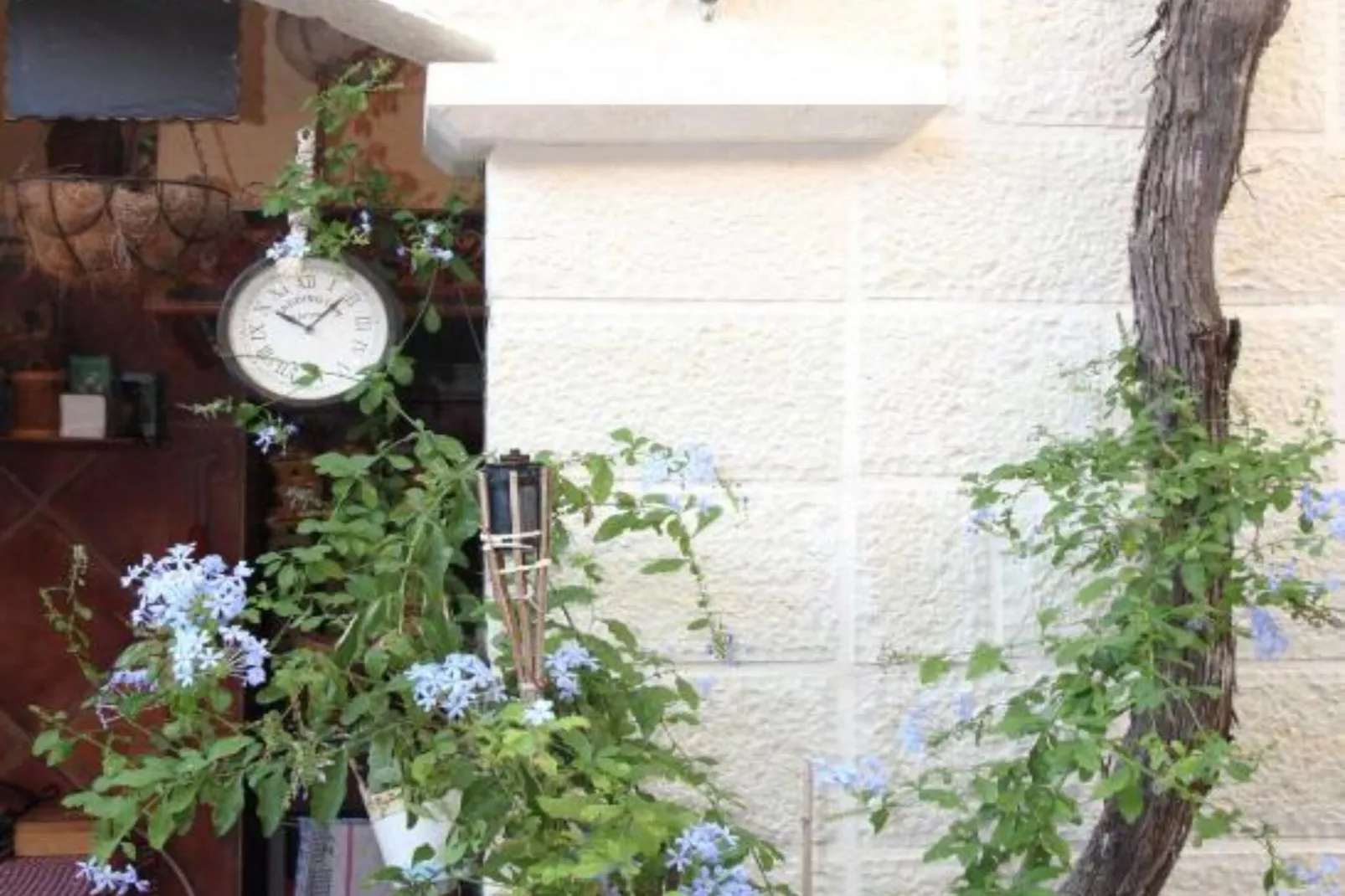Quaint & Affordable Stay in Budva Traditional Stone House - Double Room 1-Tuinen zomer