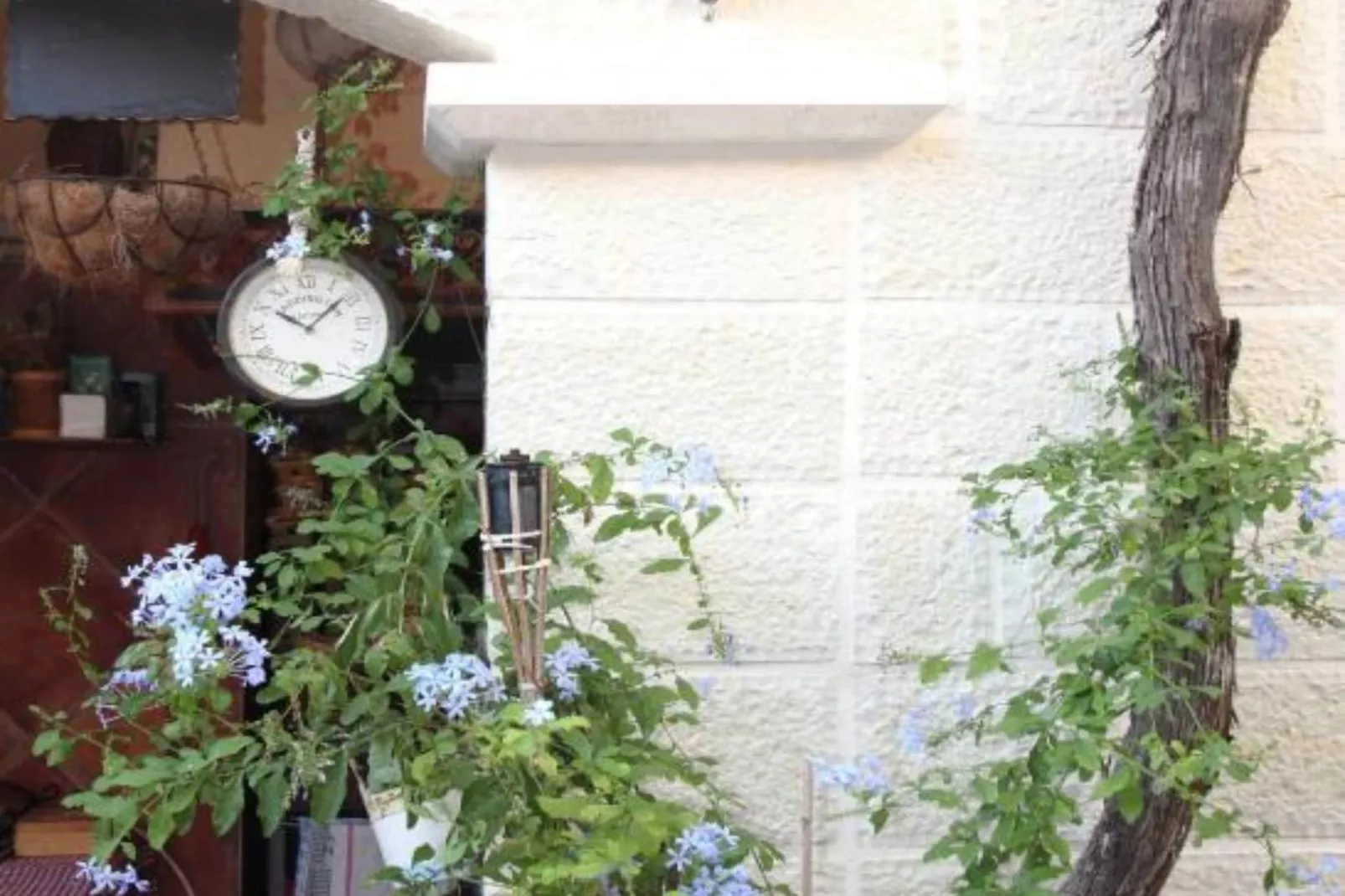 Quaint & Affordable Stay in Budva Traditional Stone House - Comfort Double Room 4-Tuinen zomer