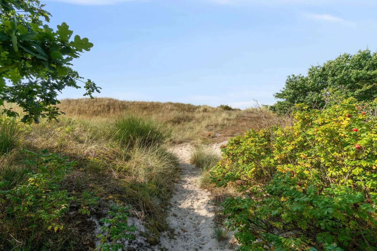 5 sterren vakantie huis in Aakirkeby-Buitenlucht