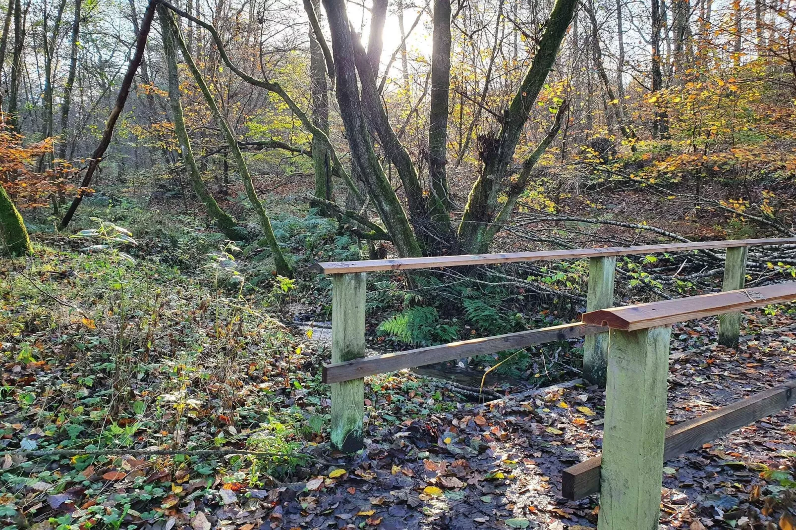 5 sterren vakantie huis in Gjern-Niet-getagd