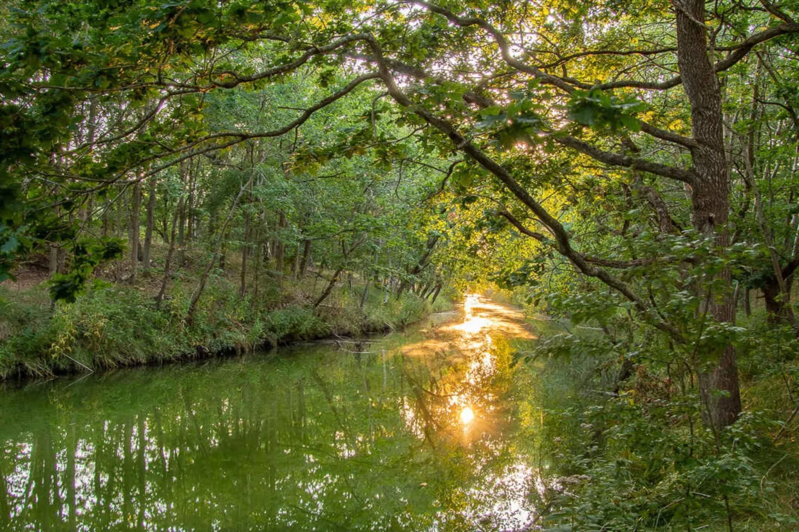 5 sterren vakantie huis in Store Fuglede-Waterzicht