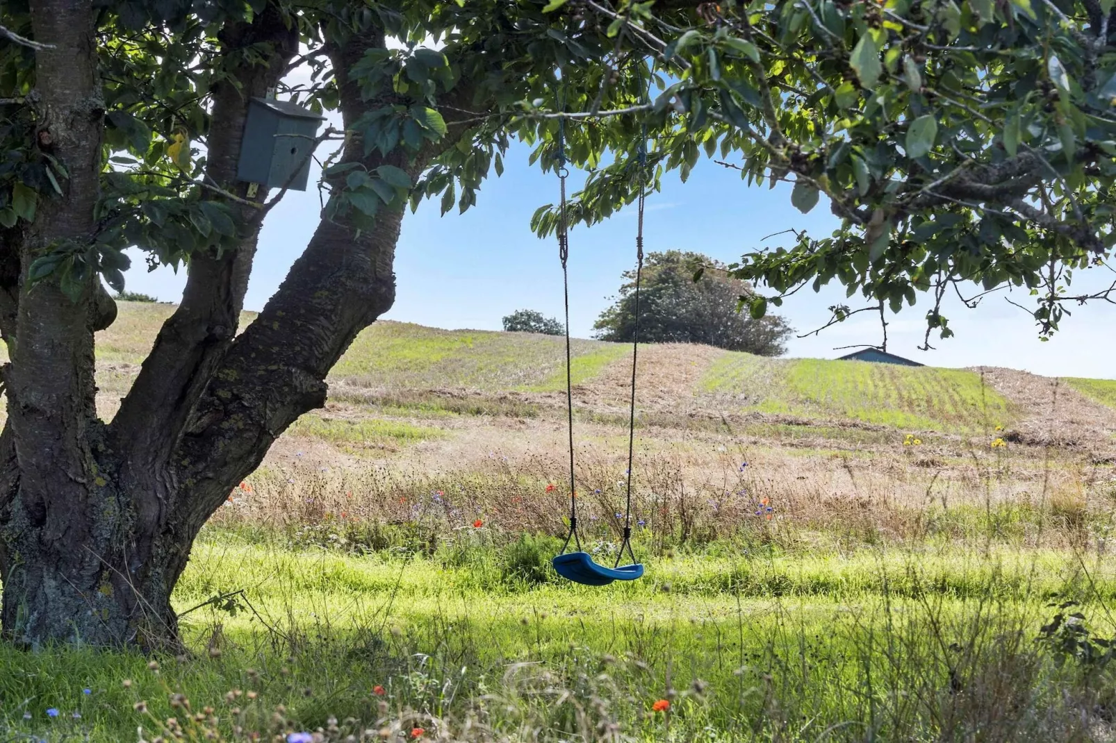 5 sterren vakantie huis in Bagenkop-Niet-getagd