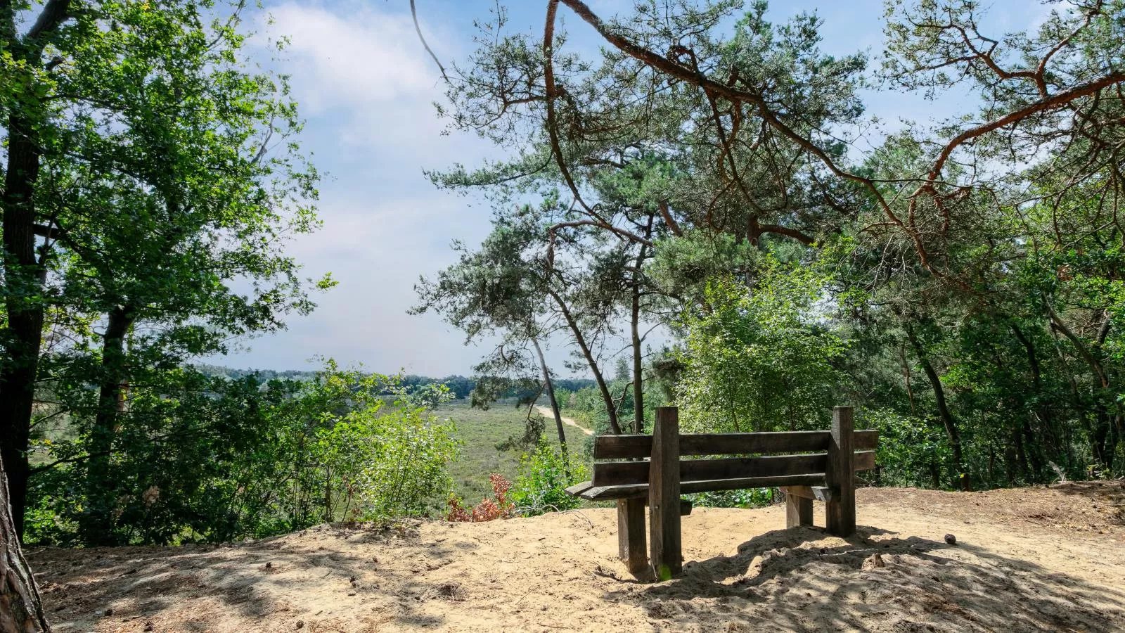 Bij ons Tinie-Gebieden zomer 5km