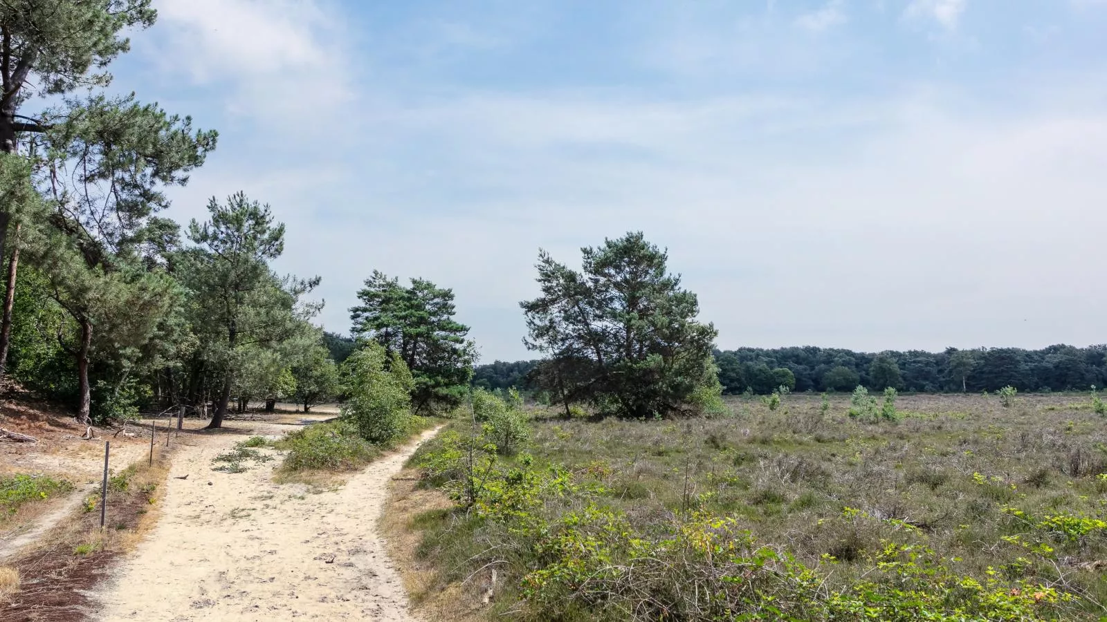 Bij ons Tinie-Gebieden zomer 5km