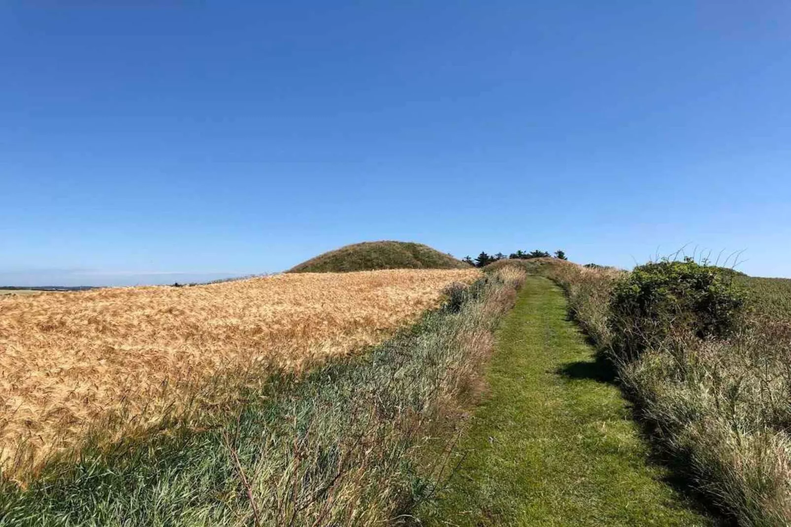 5 sterren vakantie huis in Vestervig-Buitenlucht
