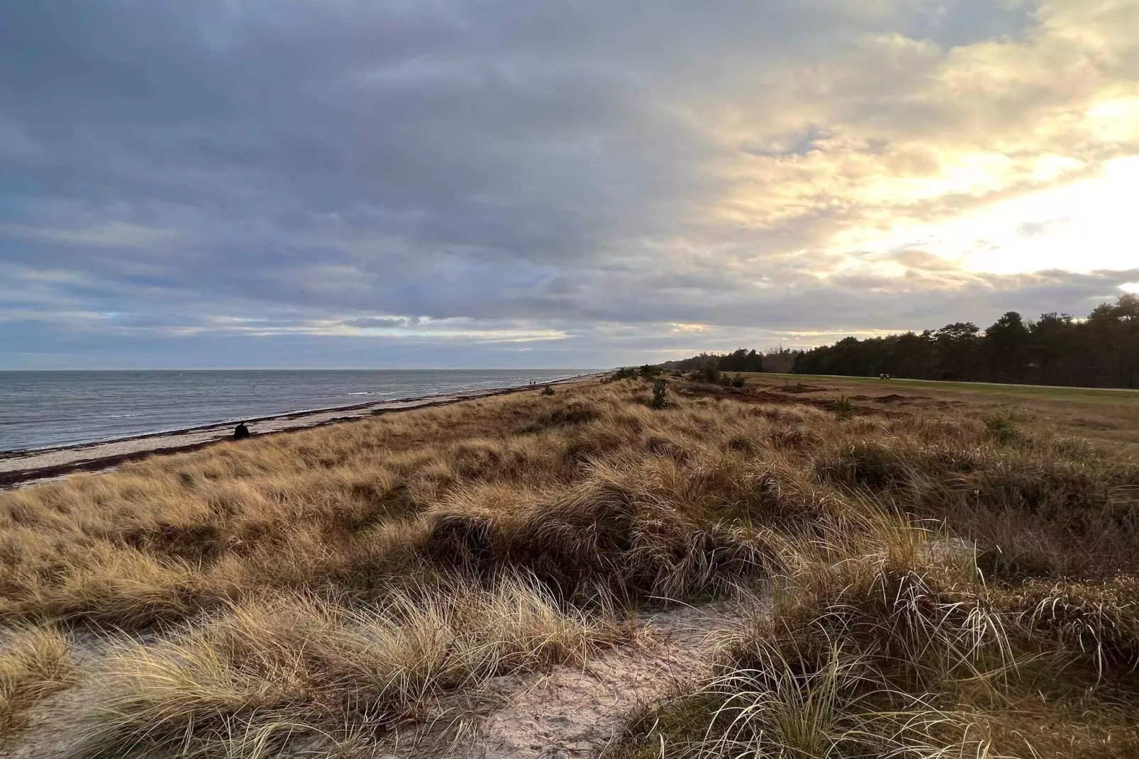 5 sterren vakantie huis in Væggerløse-Niet-getagd