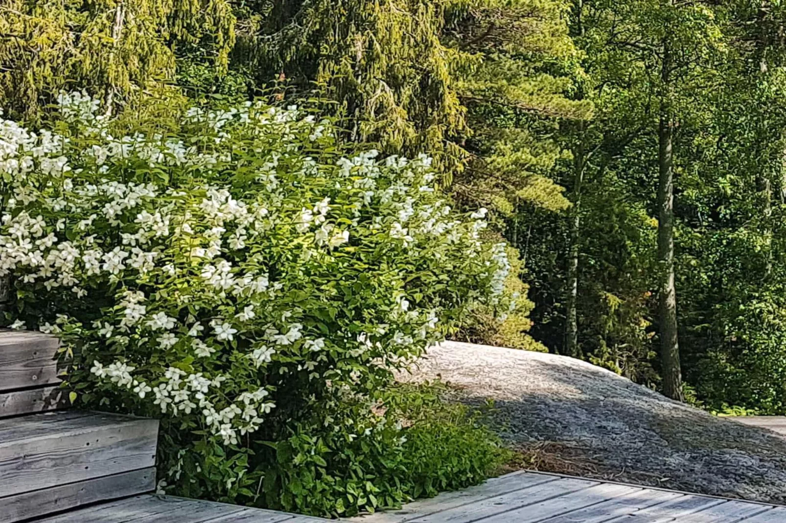 Rustig eilandhuis vlakbij de zee-Buitenlucht
