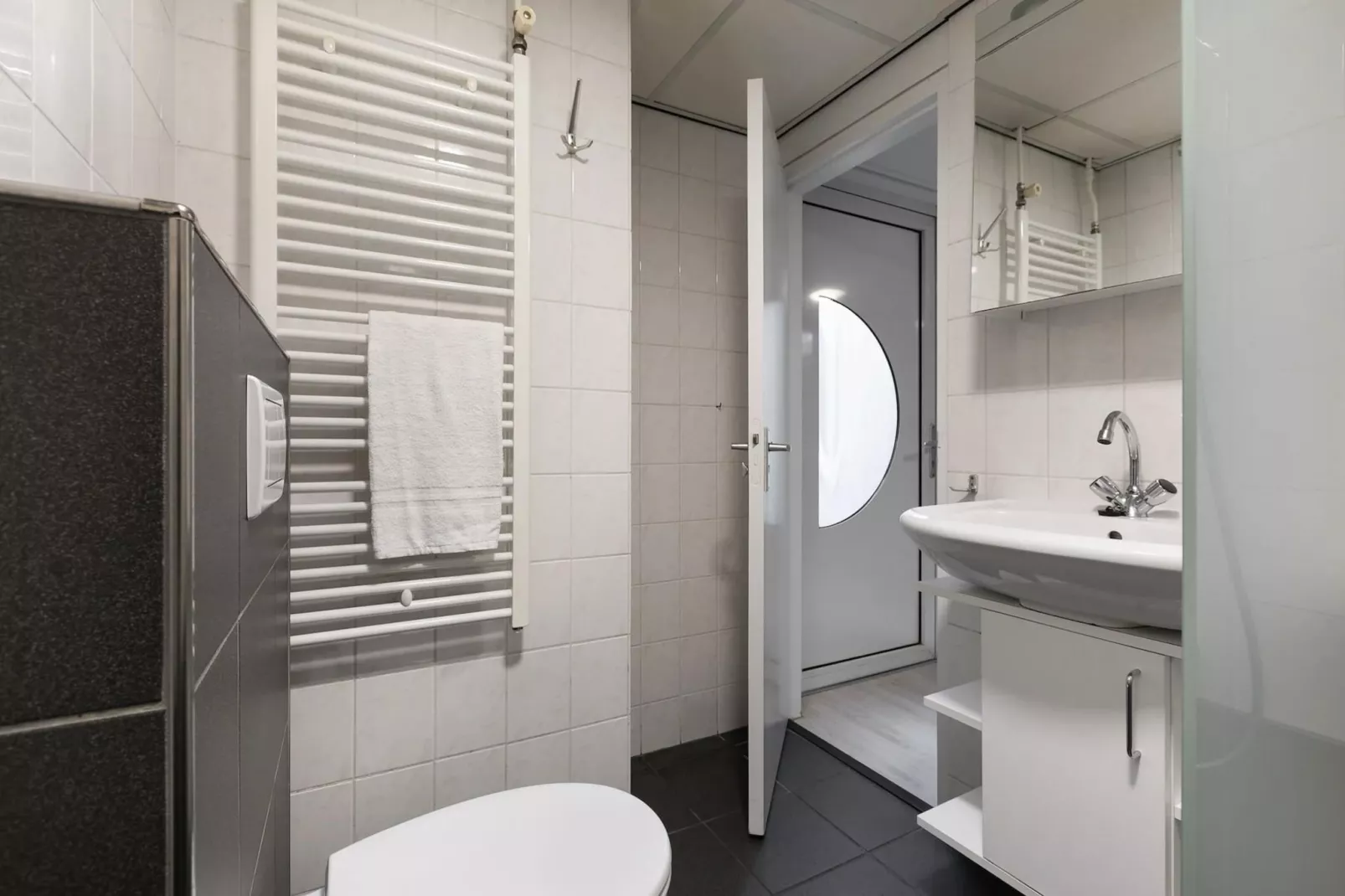 Vakantiepark de Berkenhorst 19 - Badkamer