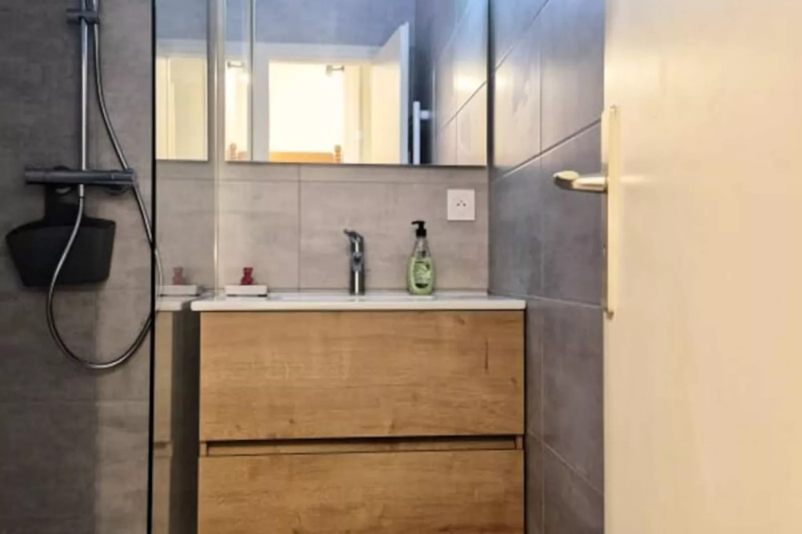 S&eacute;jour Nature Et Ski Au Revard &ndash; Terrasse Plein Sud, Acc&egrave;s Pistes-Niet-getagd