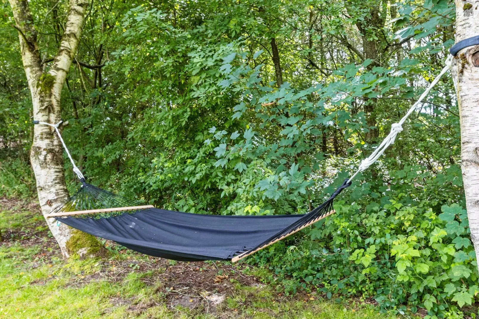 6 persoons vakantie huis in Fjerritslev-By Traum-Uitzicht