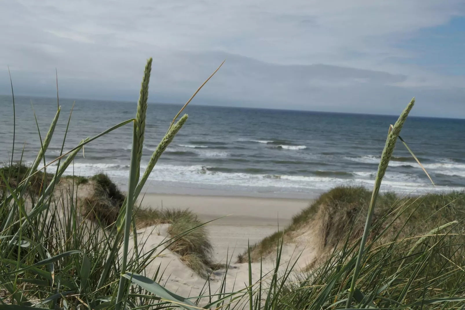 6 persoons vakantie huis in Ringkøbing-Waterzicht