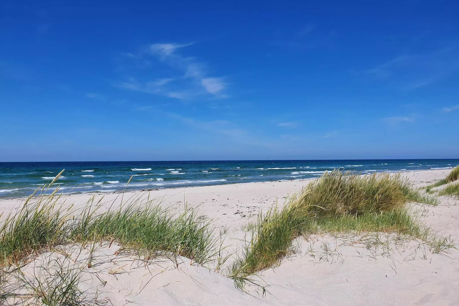 Gezellig toevluchtsoord in Rorvig Haven-By Traum-Waterzicht
