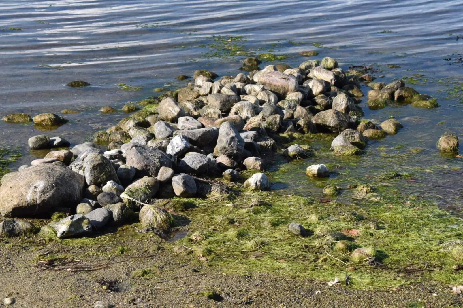 Kustcharme in Boged-By Traum-Waterzicht