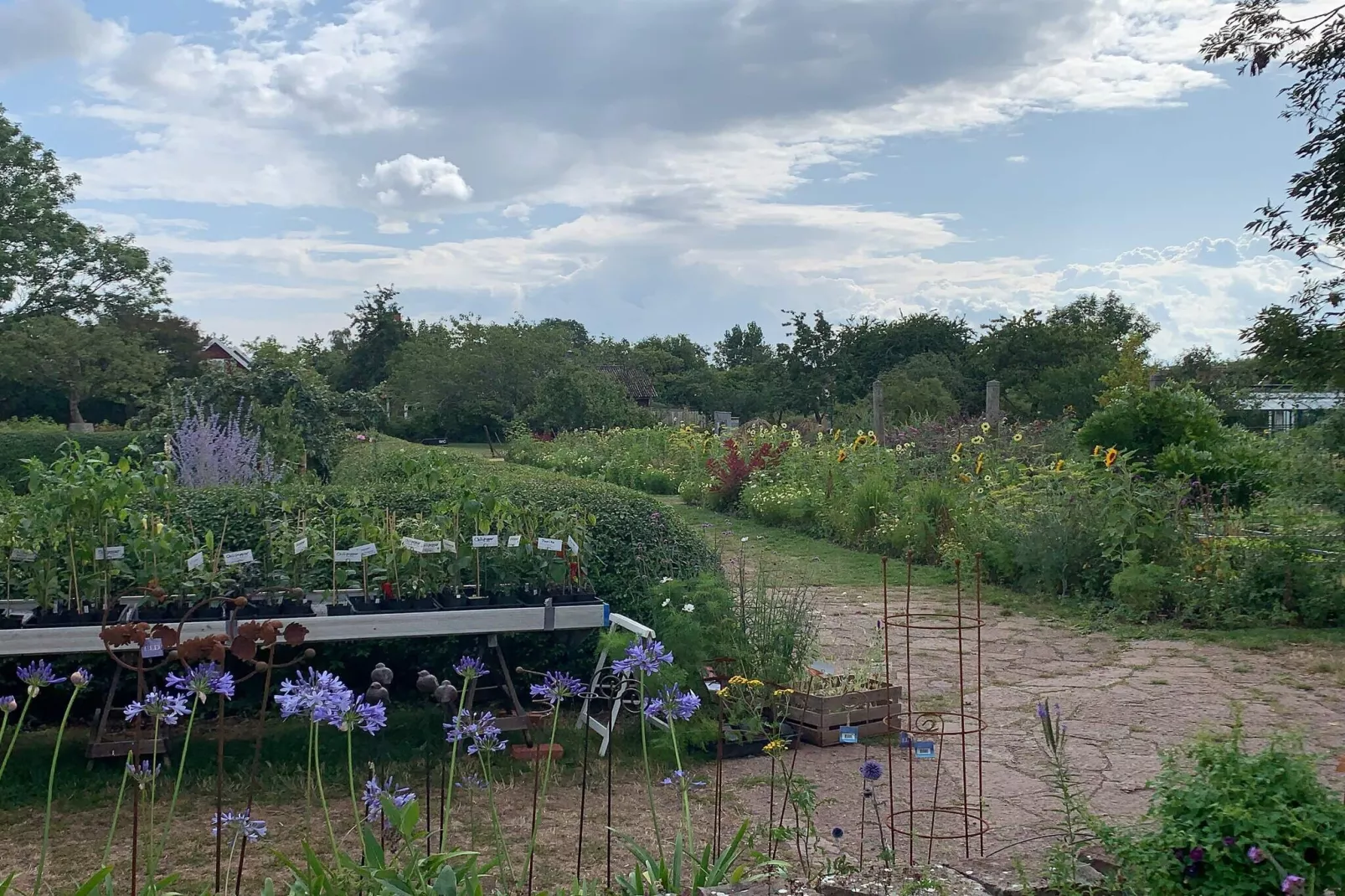 10 persoons vakantie huis in FÄRJESTADEN-Niet-getagd