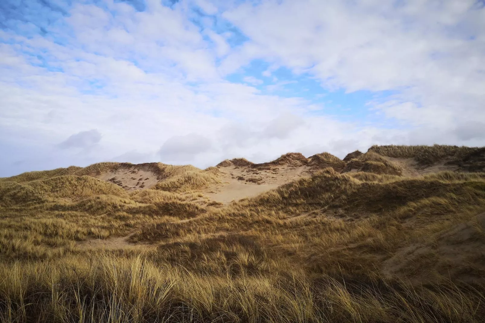 4 persoons vakantie huis in Bindslev-Waterzicht