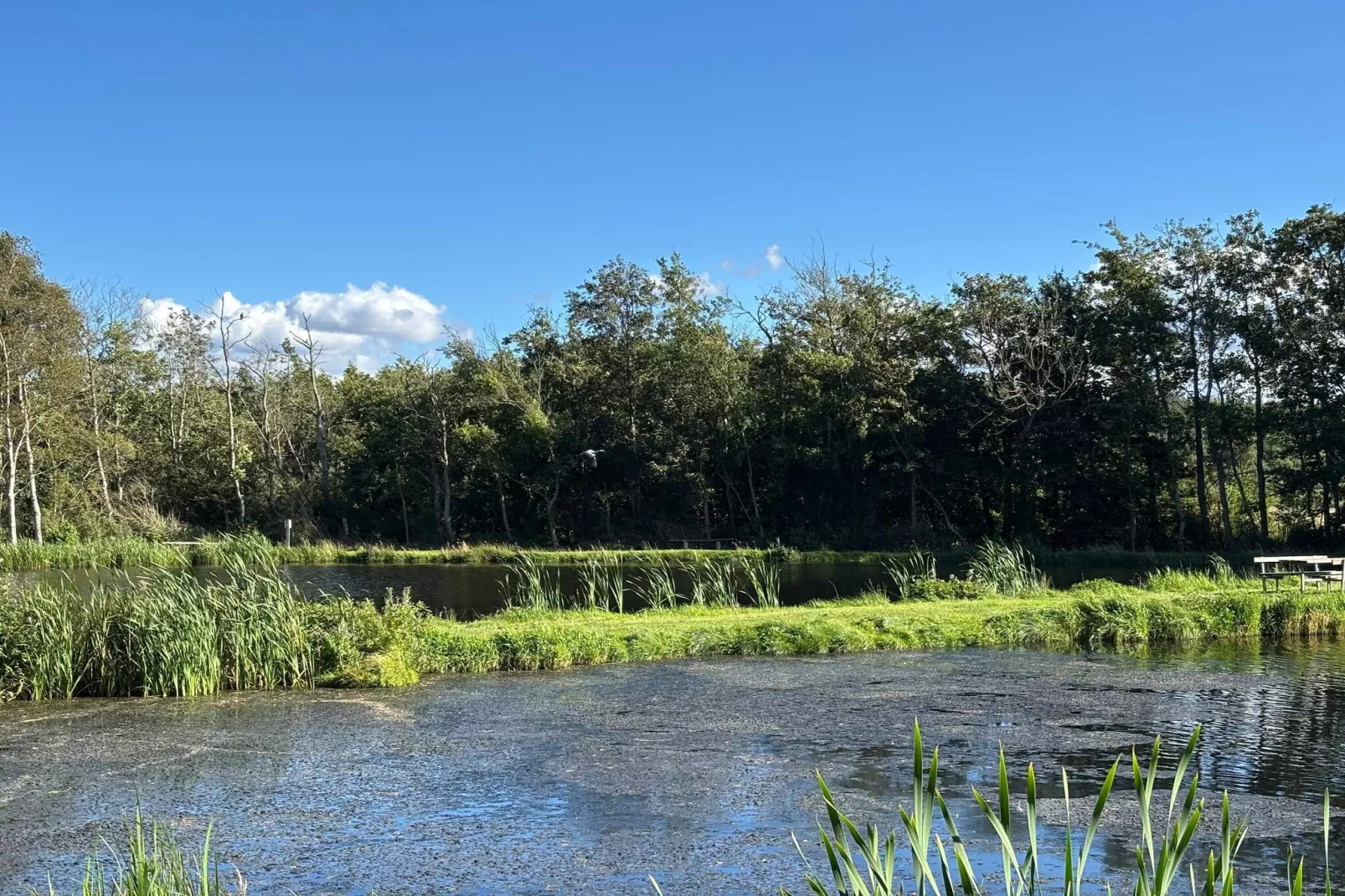 Lichte huisje bij de Lagune-By Traum-Waterzicht