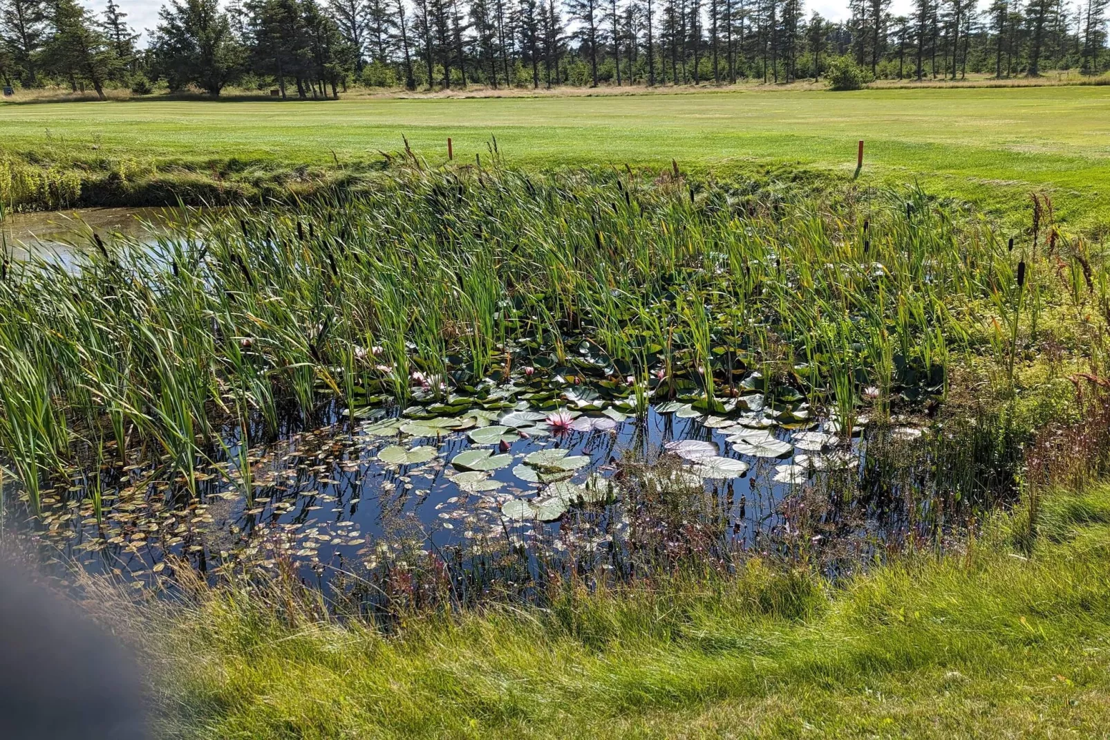 6 persoons vakantie huis in Løkken-Waterzicht