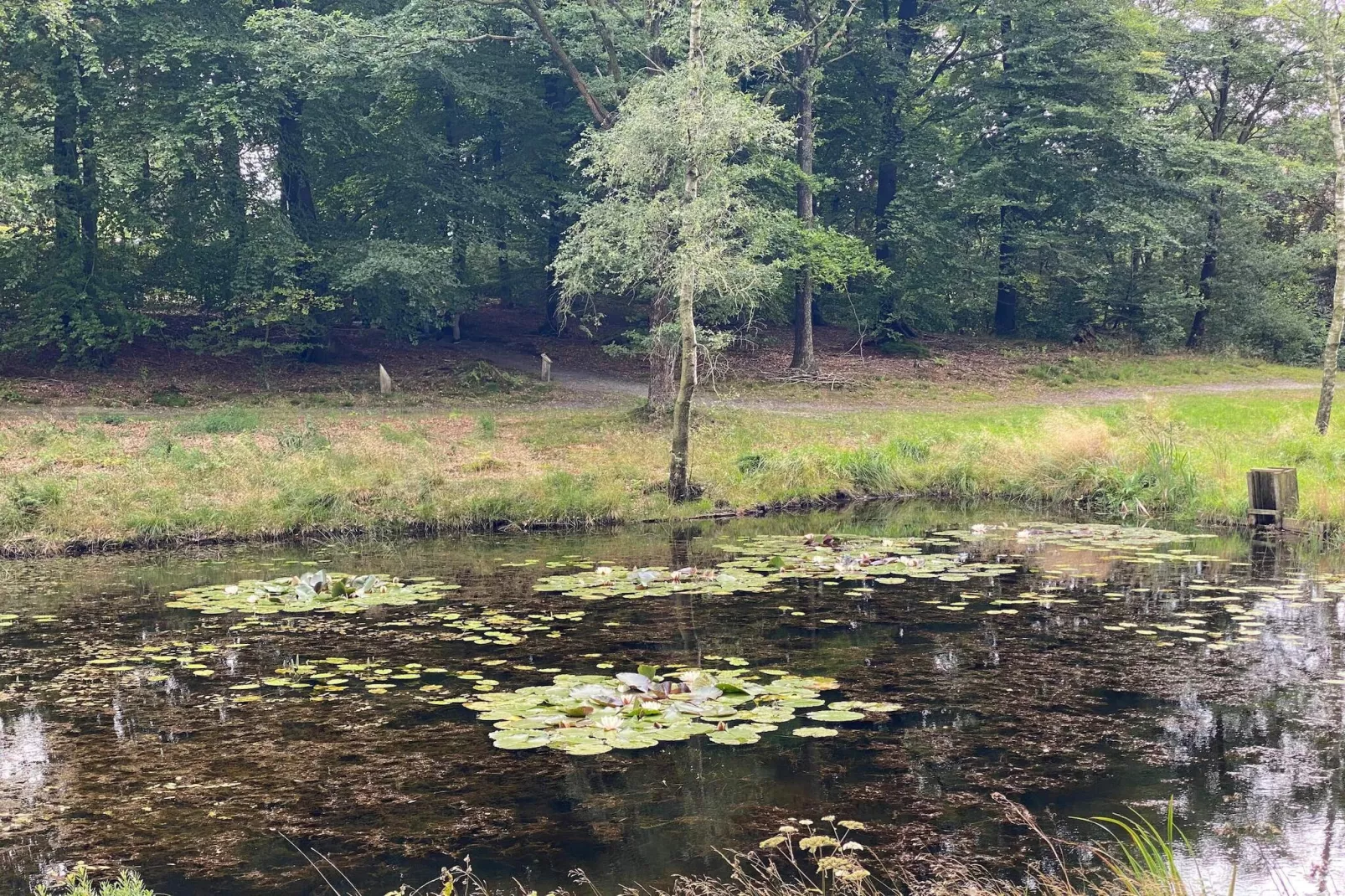 5 persoons vakantie huis in Hovborg