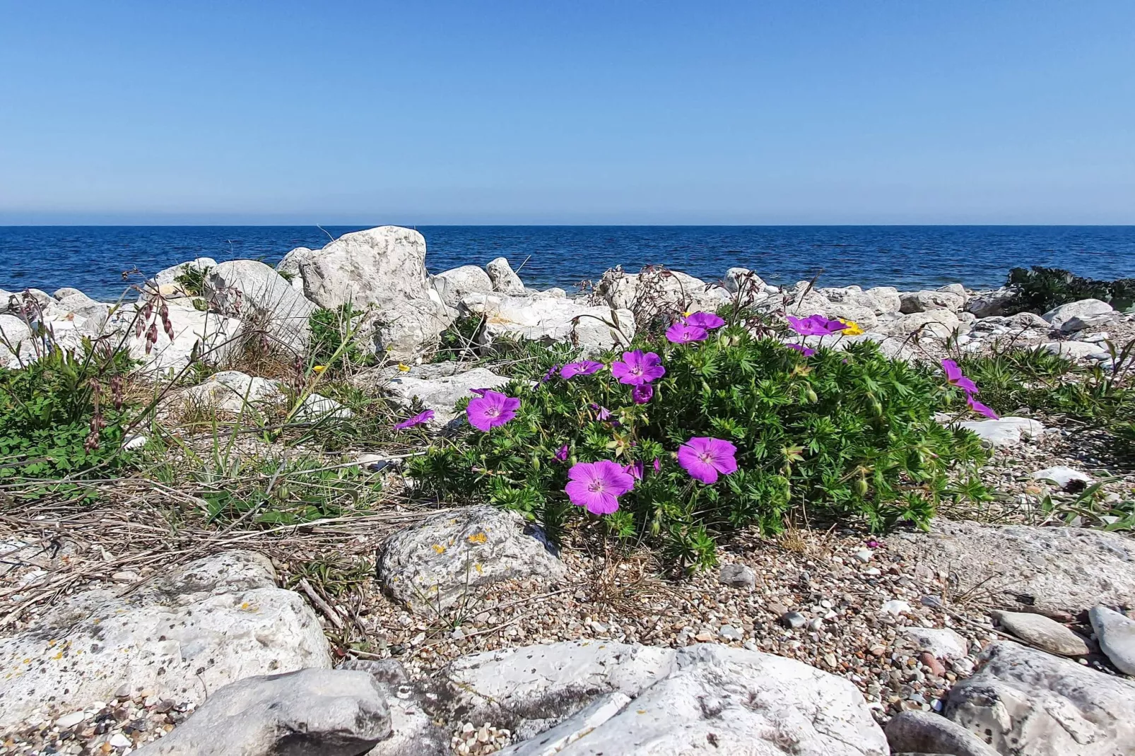 6 persoons vakantie huis in Nykøbing Sj-Waterzicht
