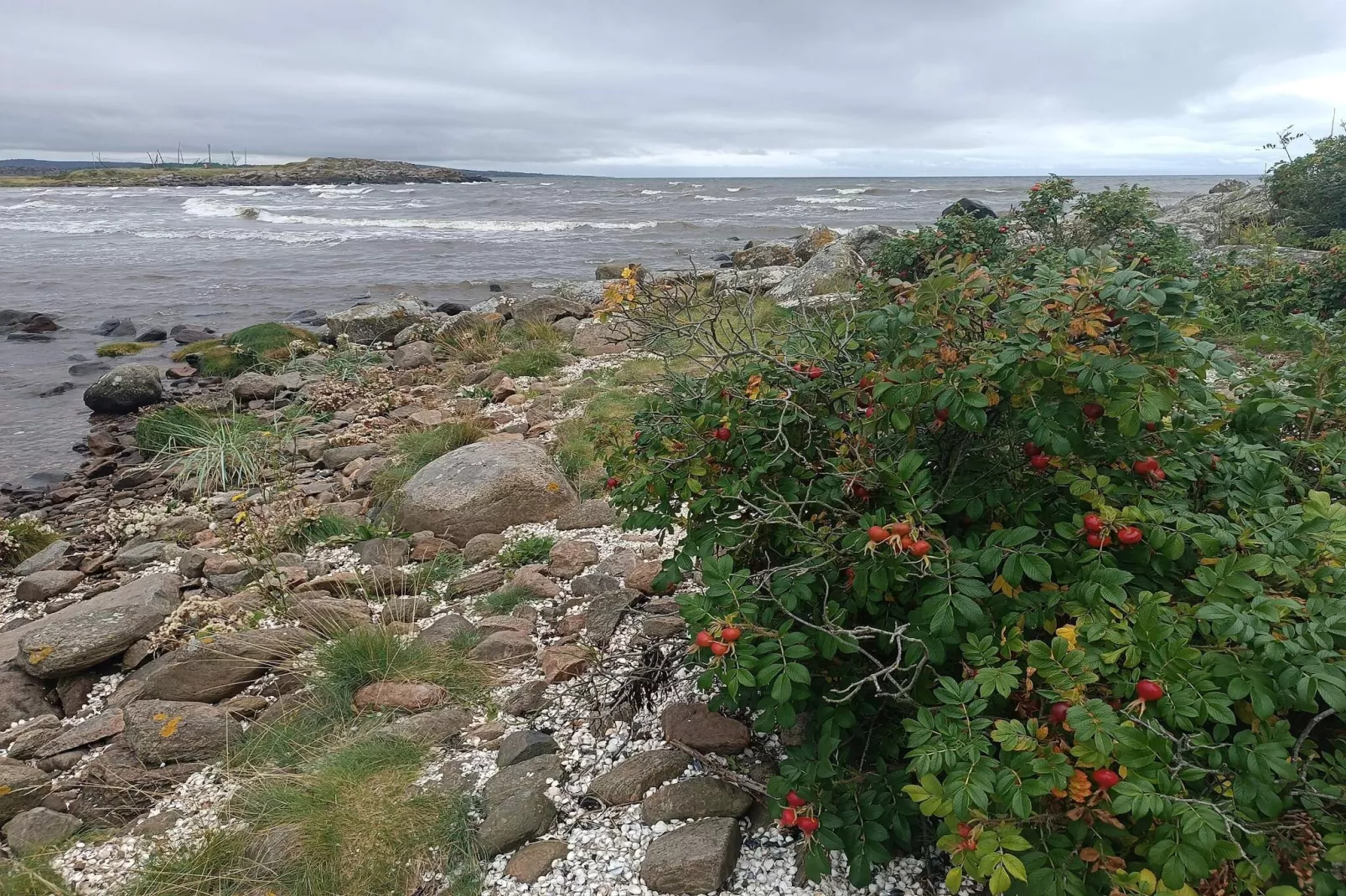 4 persoons vakantie huis in Heberg-Waterzicht