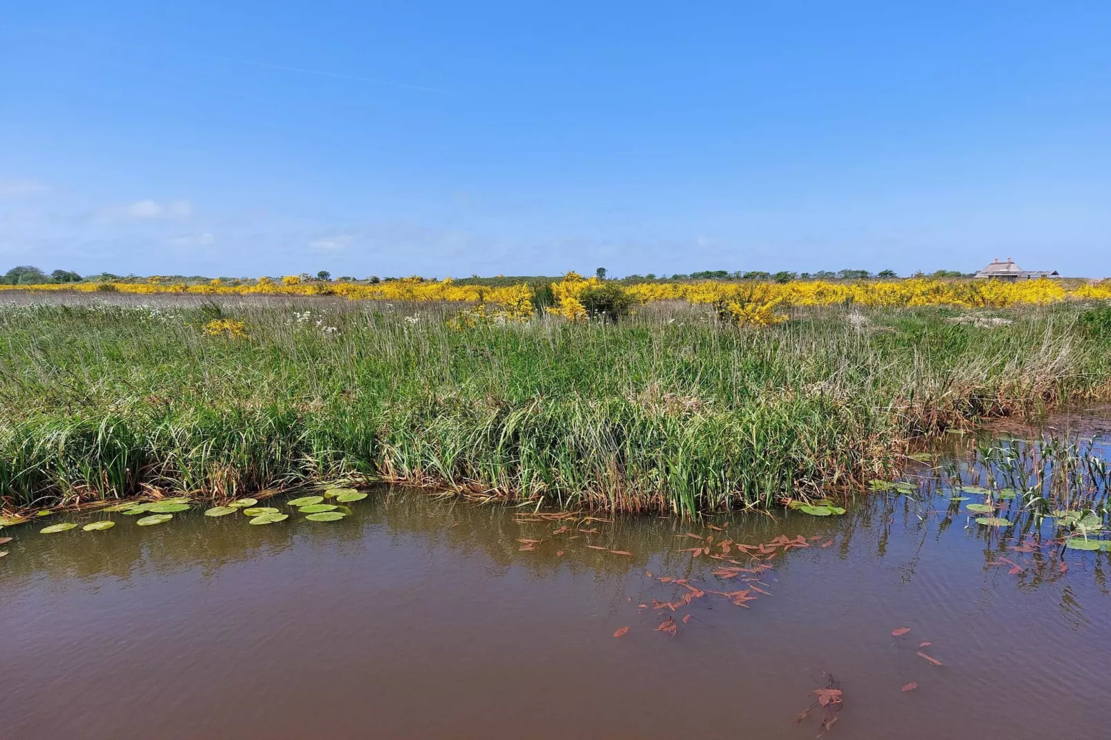 8 persoons vakantie huis in Hemmet-Waterzicht