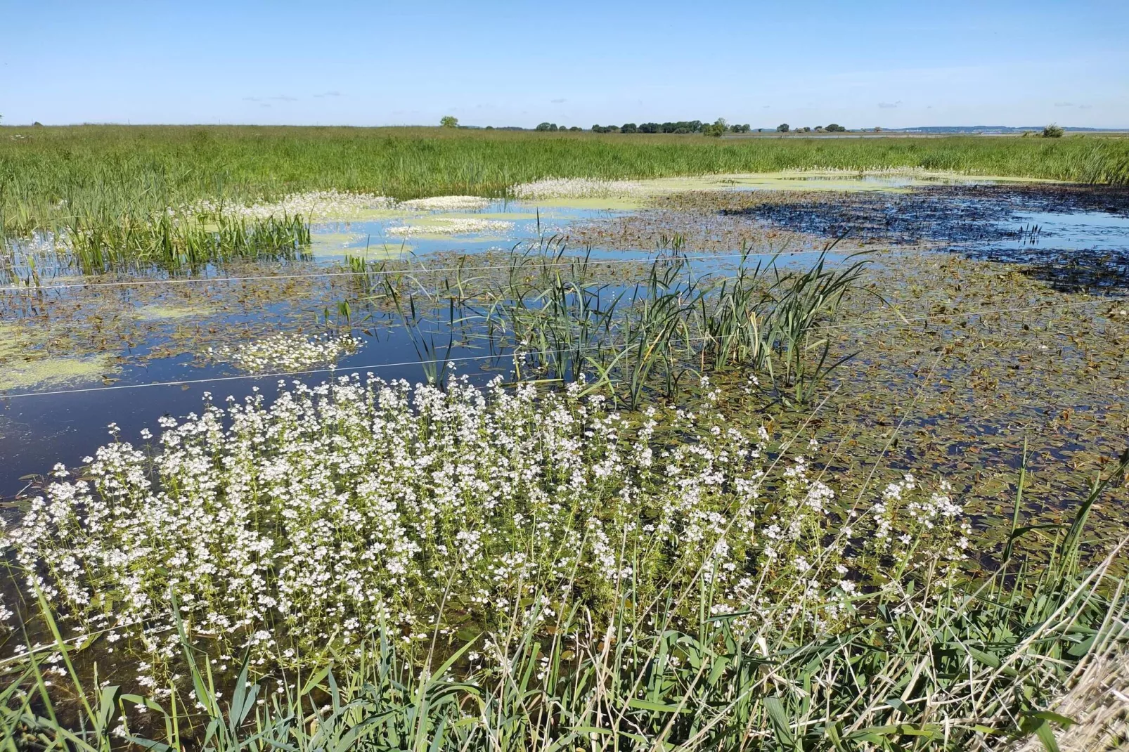 8 persoons vakantie huis in Præstø-Waterzicht