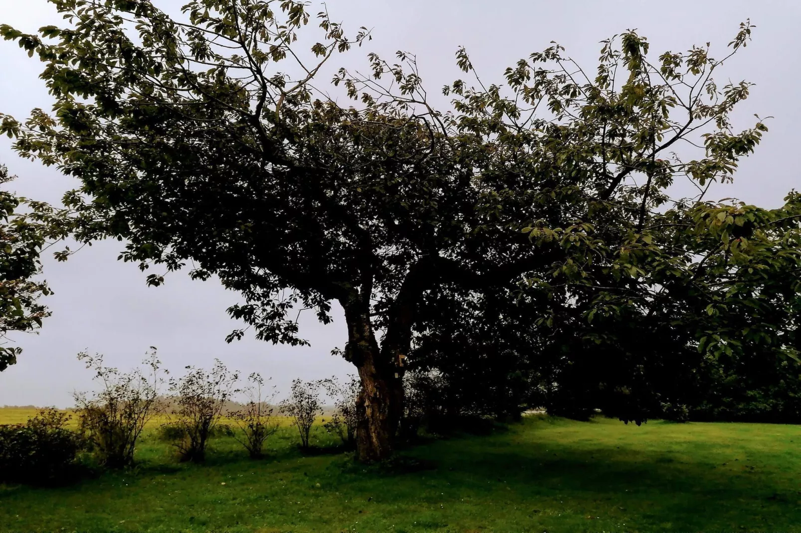 Luxe retraite in Vejers -- By Traum Ferienwohnungen-Niet-getagd