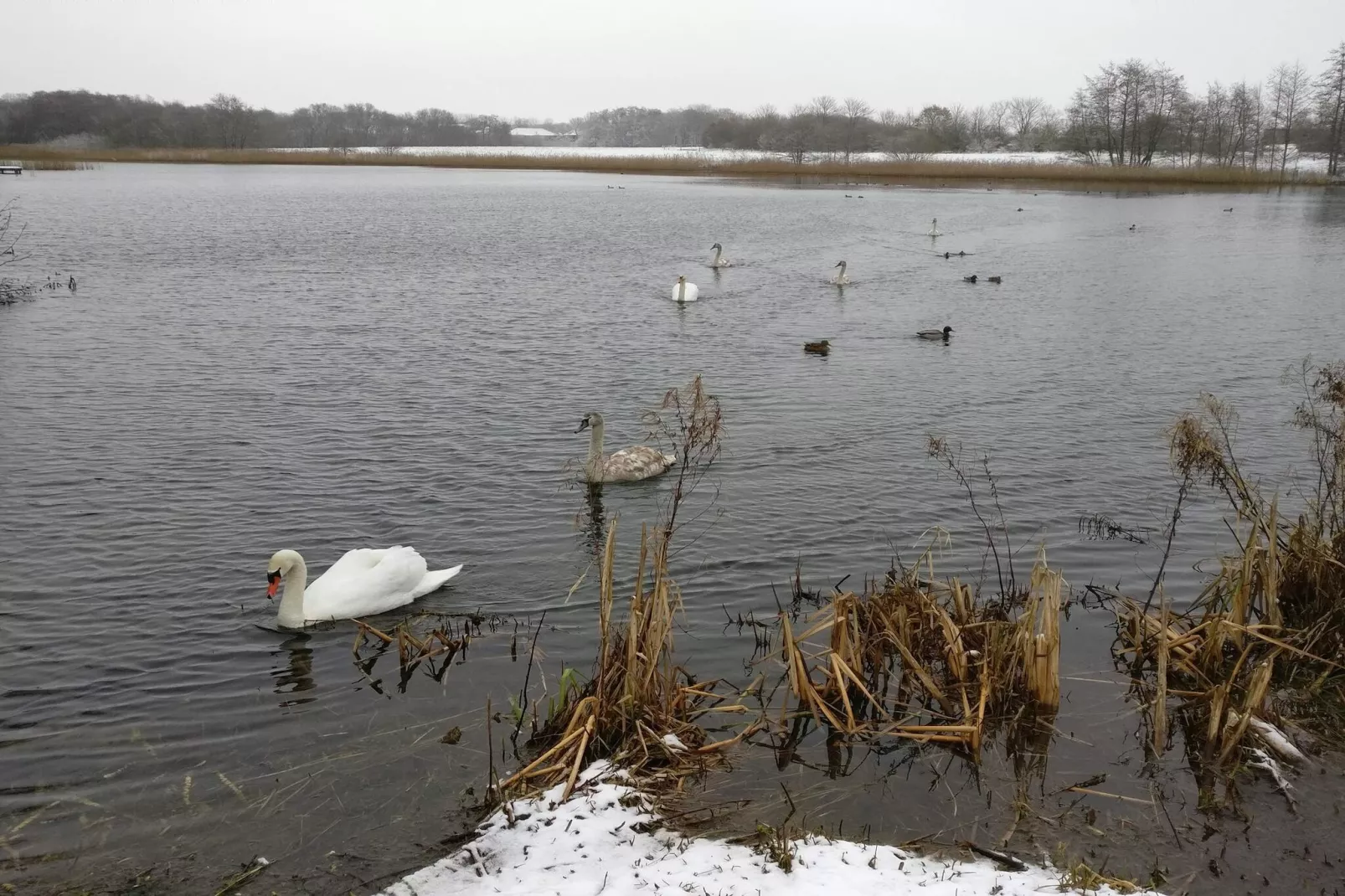Luxe retraite bij Ho Baai -- By Traum Ferienwohnungen-Waterzicht