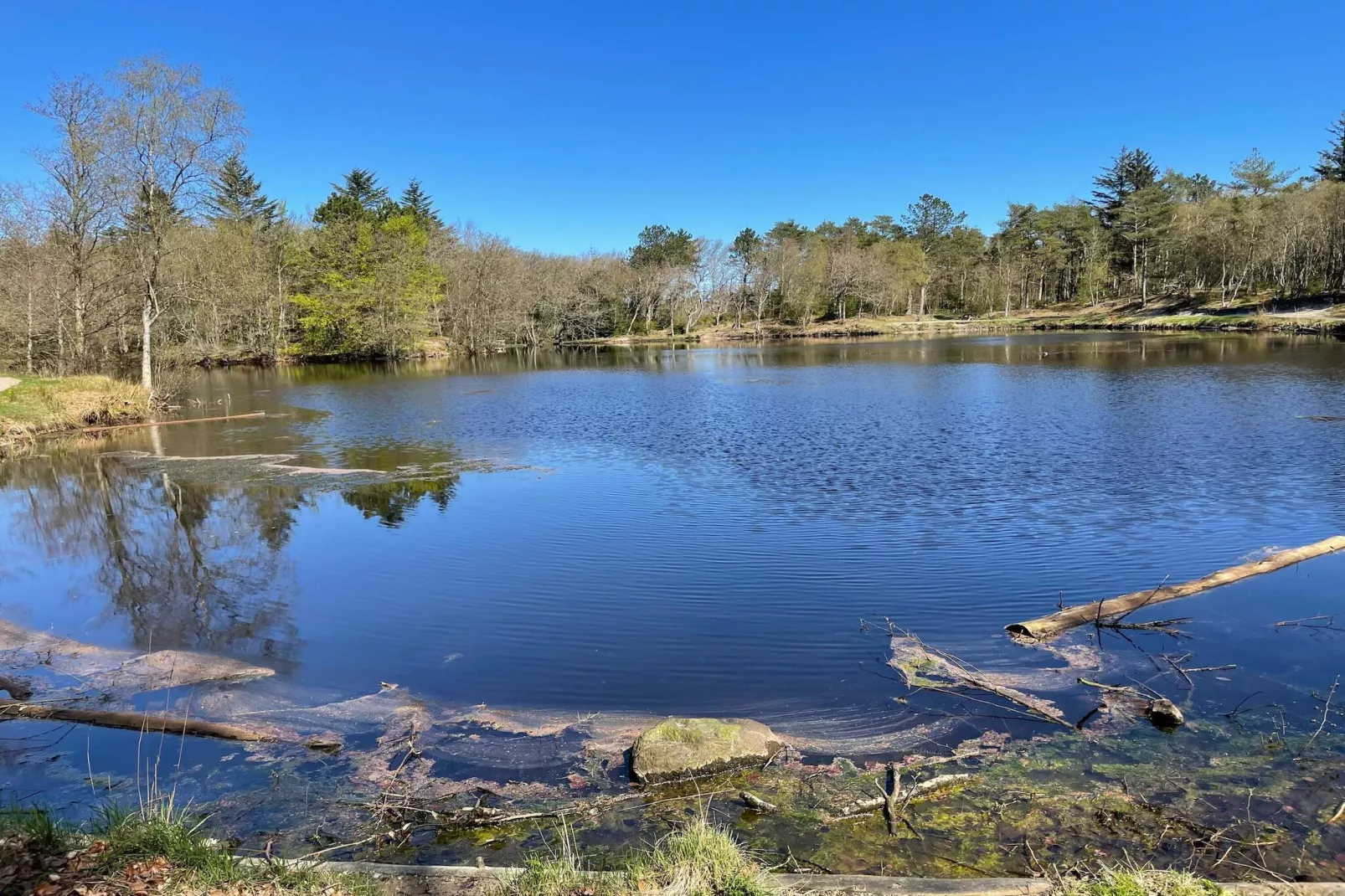 Gezinsuitje in Lodskovvad -- By Traum Ferienwohnungen-Waterzicht