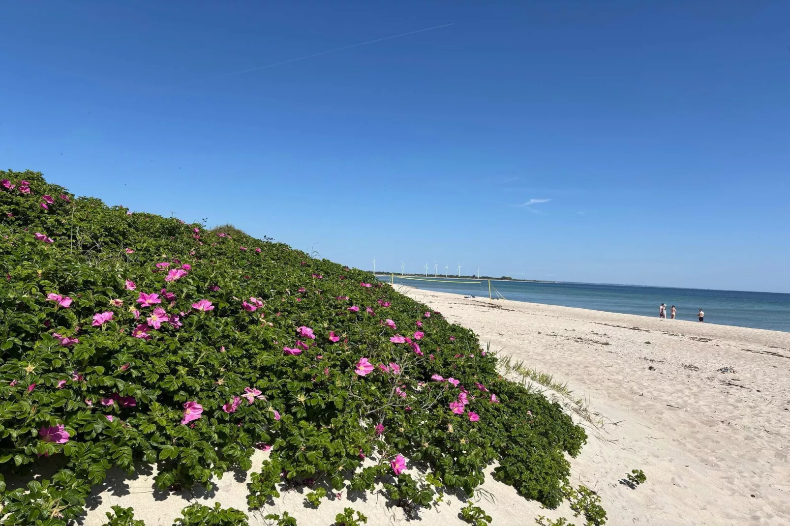 6 persoons vakantie huis in Sydals-By Traum-Waterzicht