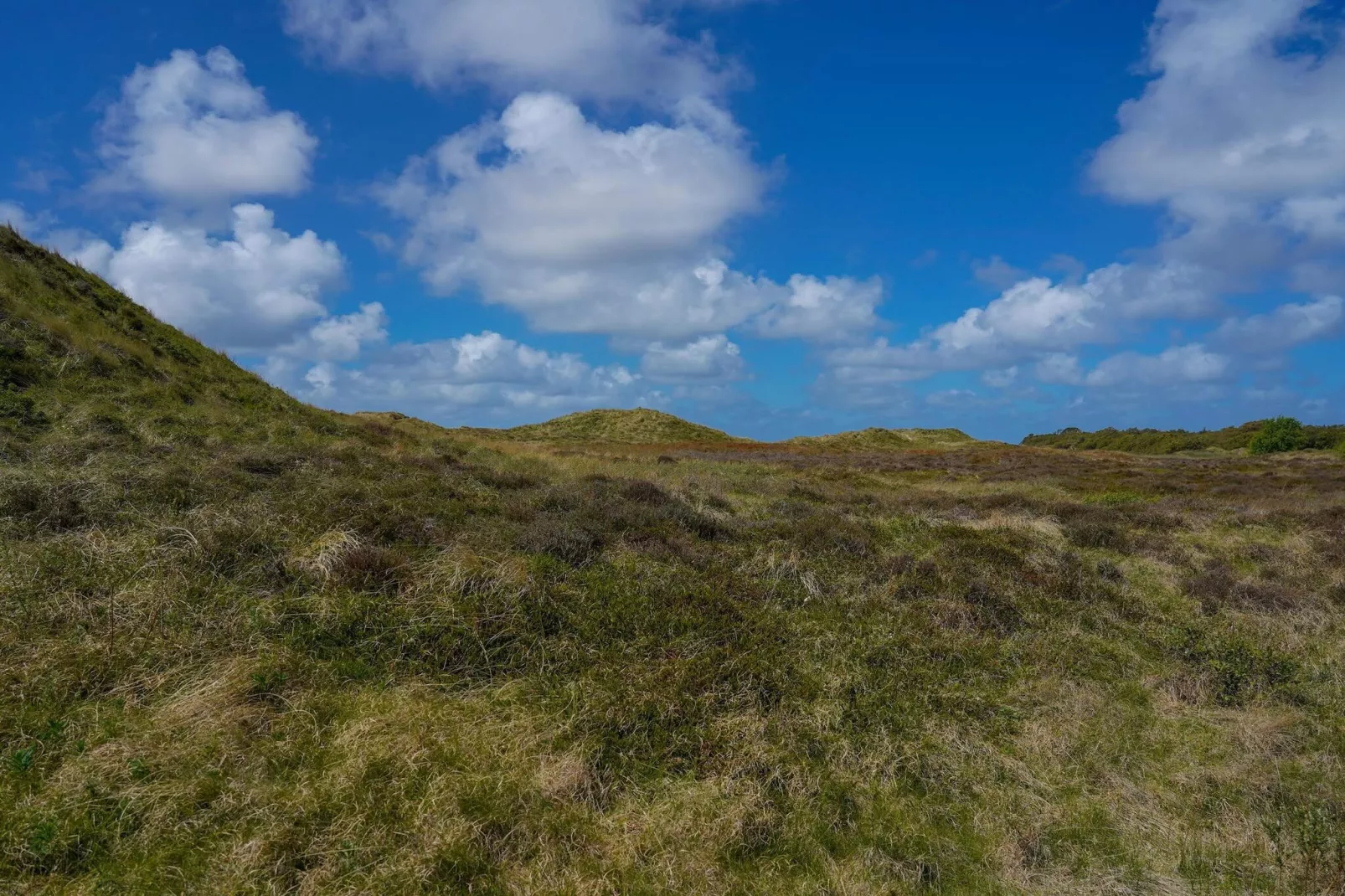 6 persoons vakantie huis in Rømø-By Traum-Niet-getagd