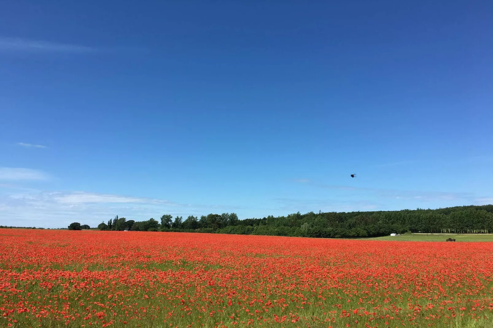 6 persoons vakantie huis in Jægerspris-By Traum-Niet-getagd