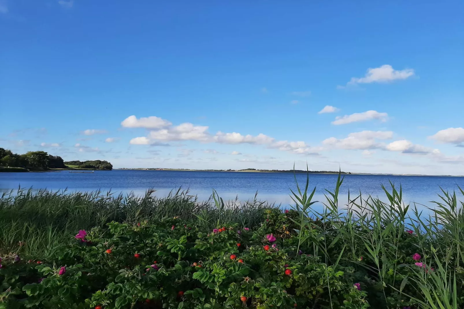 Schilderachtig toevluchtsoord in Boddum -- By Traum Ferienwohnungen-Waterzicht
