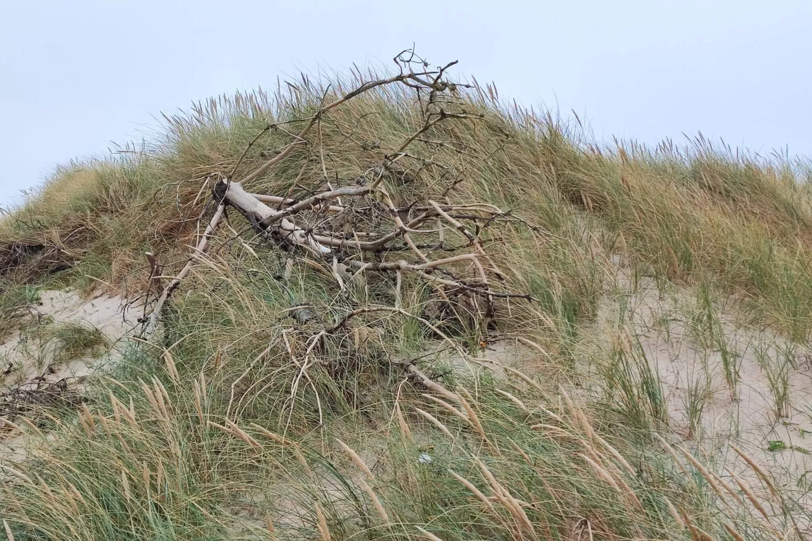 6 persoons vakantie huis in Harboøre-By Traum-Niet-getagd