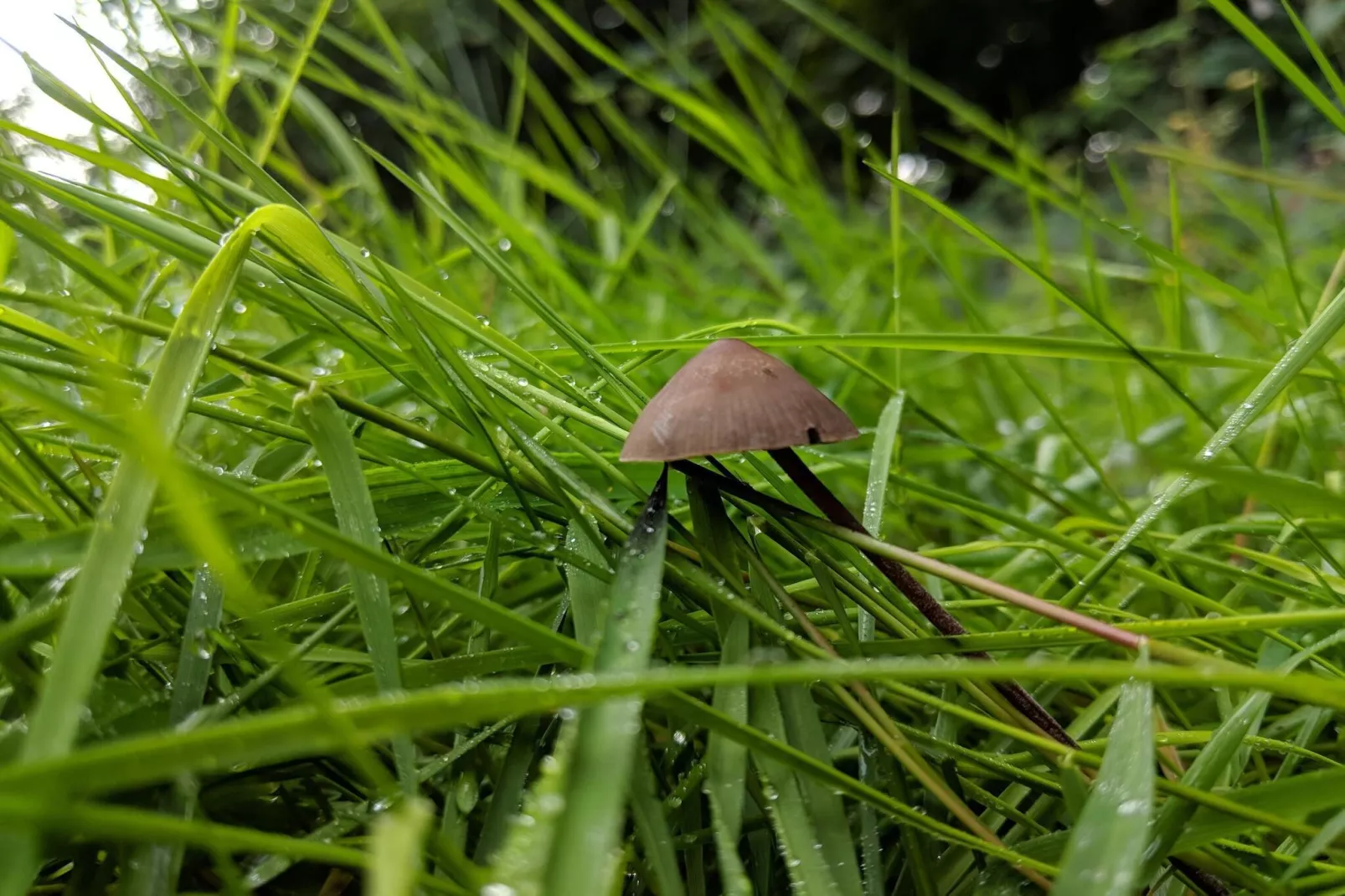 Luxe zwembadvilla in Lohals -- By Traum Ferienwohnungen-Niet-getagd