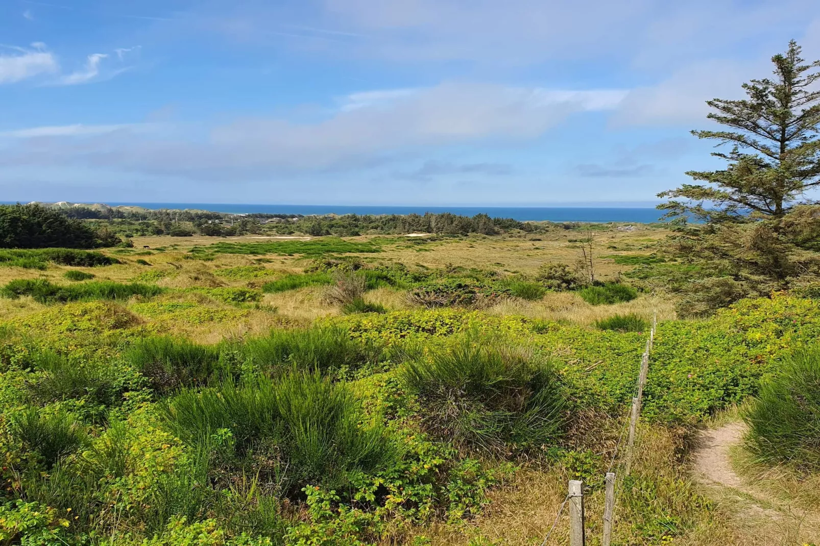 6 persoons vakantie huis in Løkken-By Traum-Niet-getagd