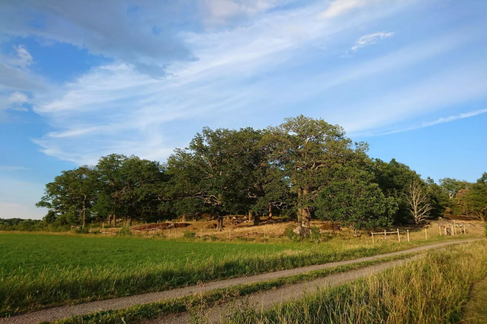 4 persoons vakantie huis in TORSHÄLLA-By Traum-Niet-getagd