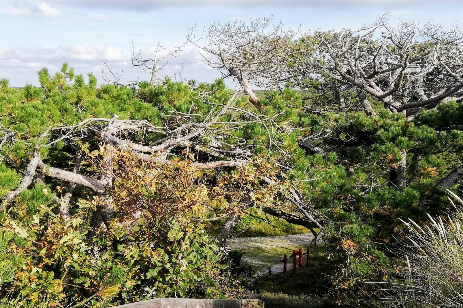 6 persoons vakantie huis in Ulfborg-By Traum-Niet-getagd