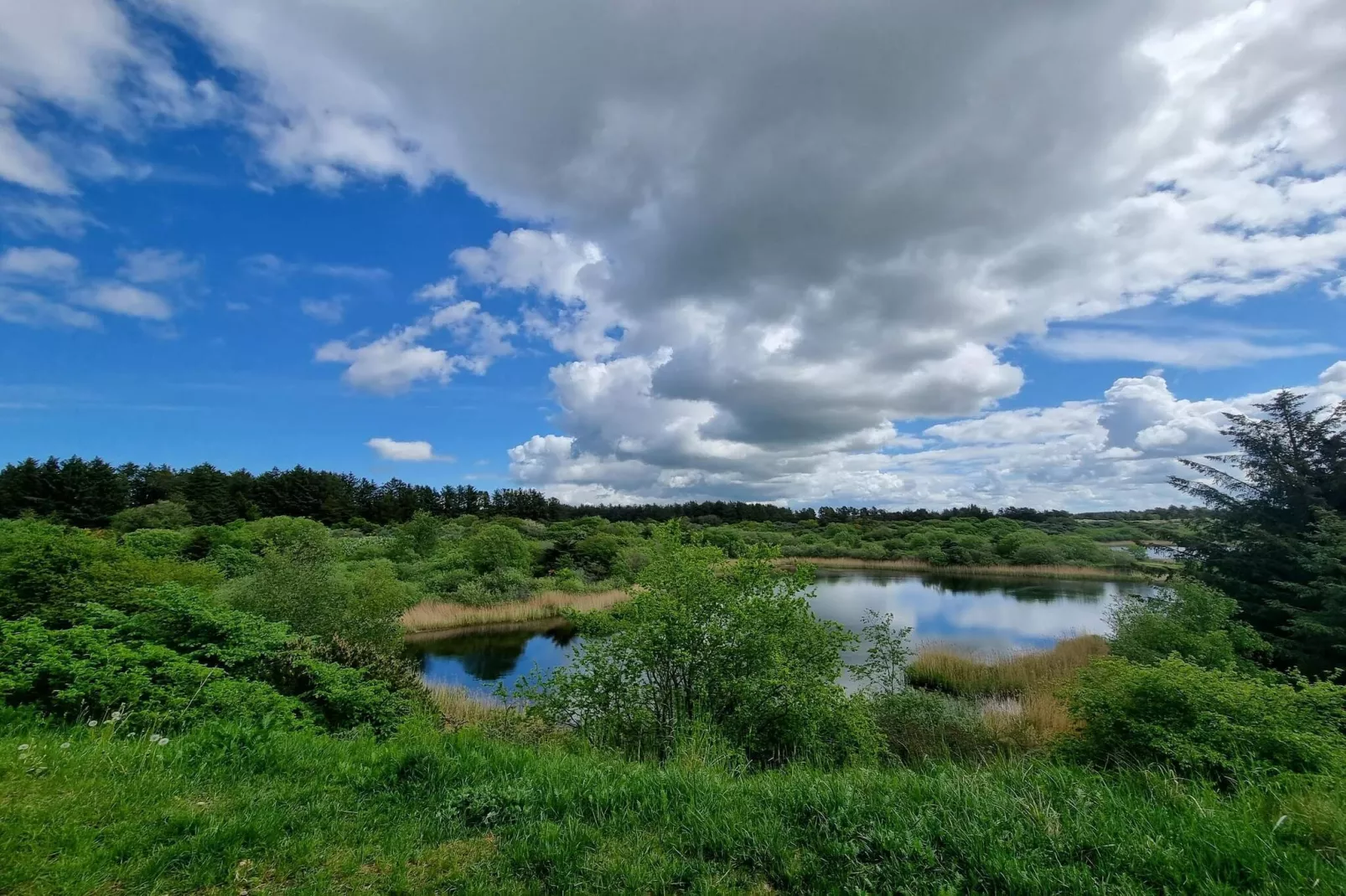 6 persoons vakantie huis in Pandrup-Waterzicht