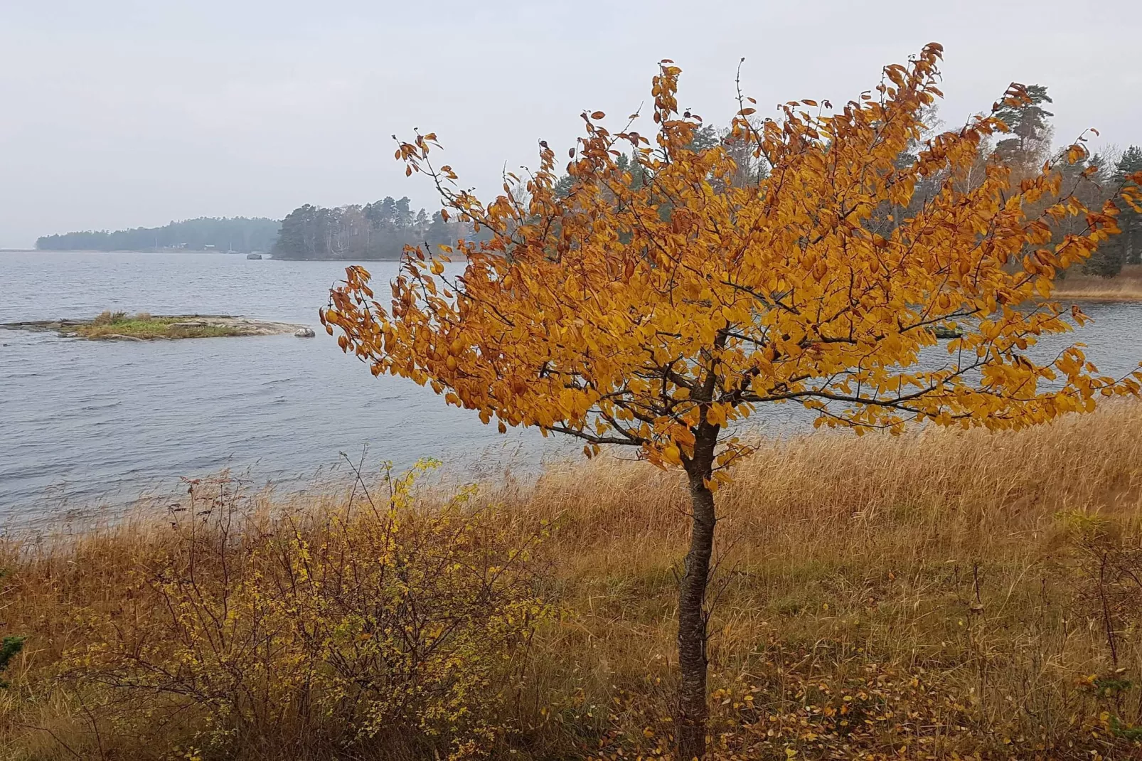 6 persoons vakantie huis in ORNÖ-By Traum-Waterzicht