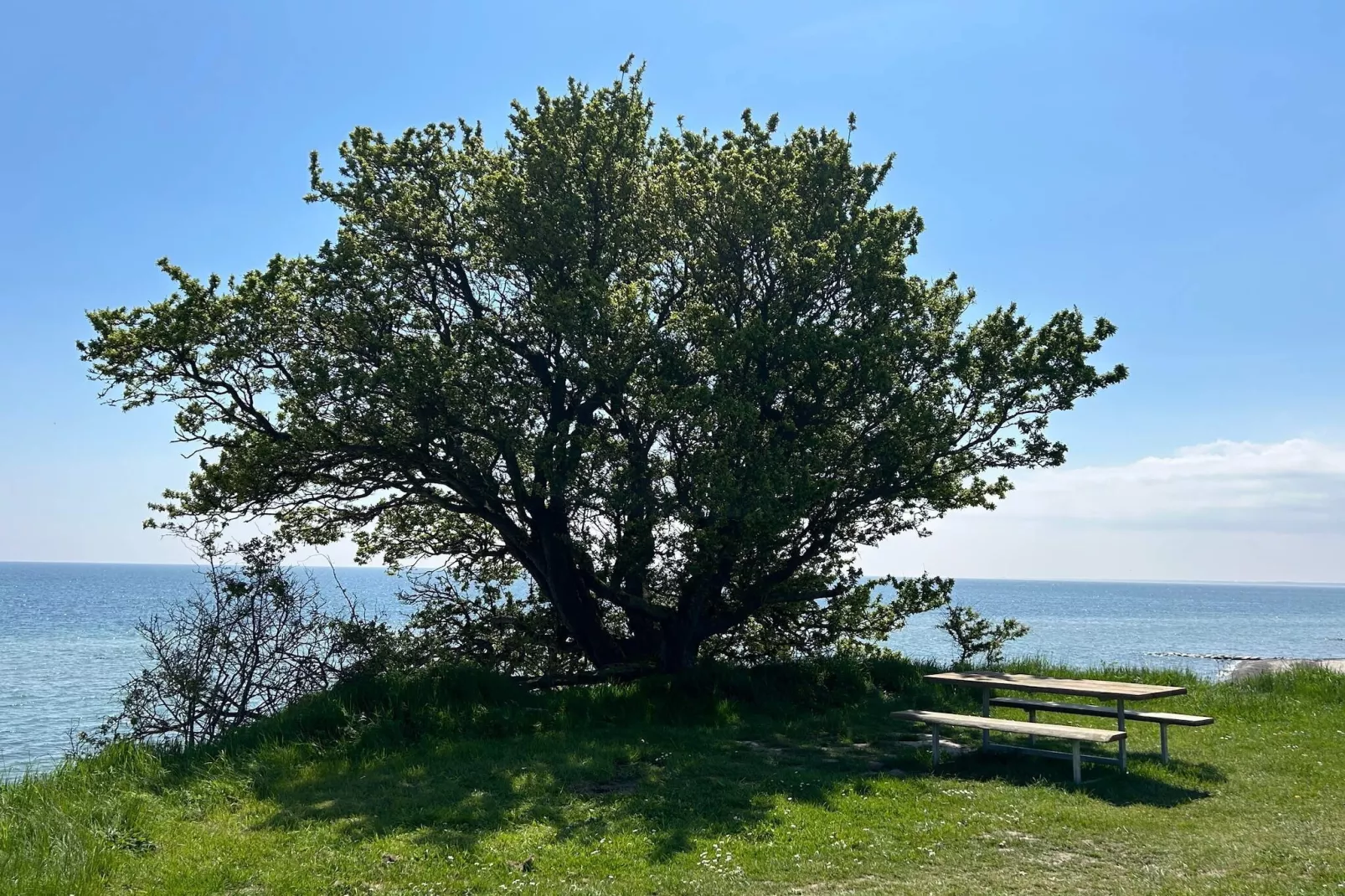 12 persoons vakantie huis in Idestrup-Waterzicht