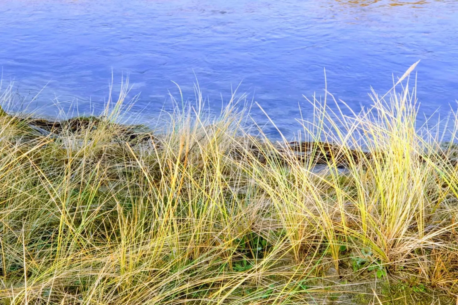 6 persoons vakantie huis in Store Fuglede-By Traum-Waterzicht